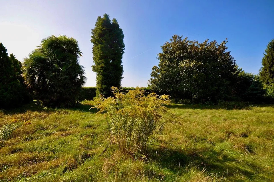 Villa da Ristrutturare Immersa in un Grande Parco con Tanta Privacy – Foto 12 von 24