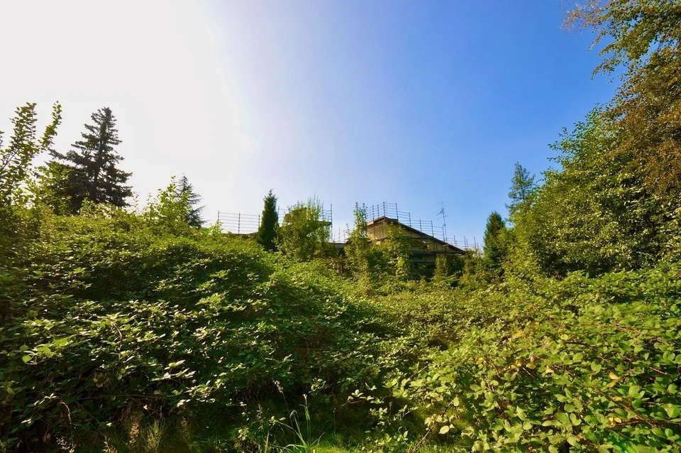 Villa da Ristrutturare Immersa in un Grande Parco con Tanta Privacy – Foto 11 von 24