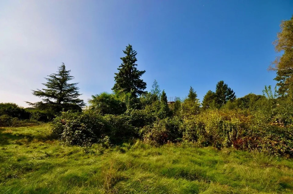 Villa da Ristrutturare Immersa in un Grande Parco con Tanta Privacy – Foto 9 von 24