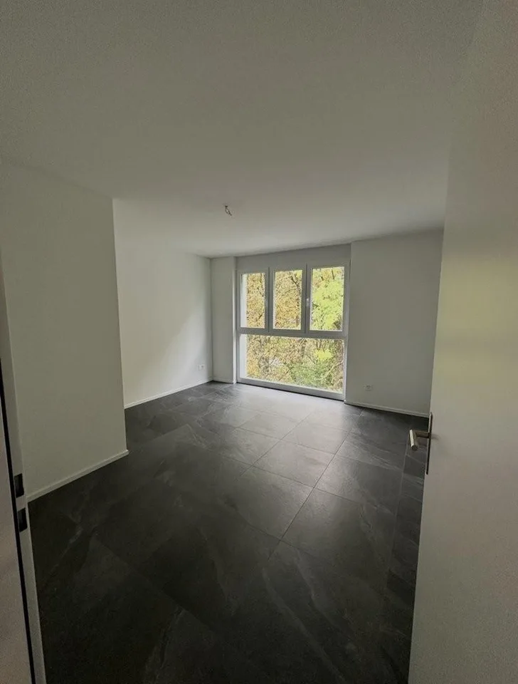 Modern apartment in Grellingen