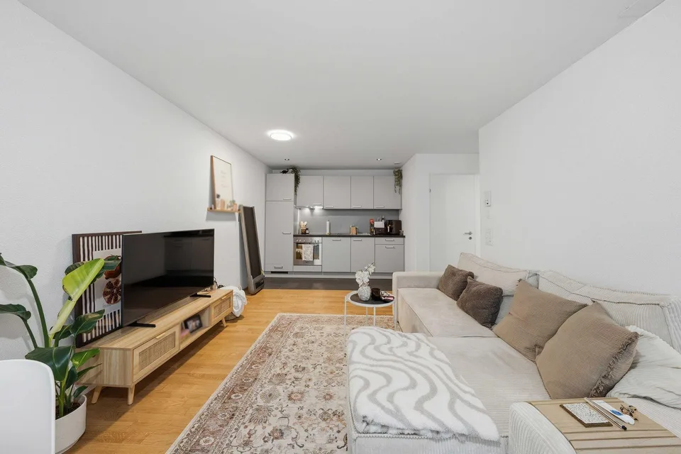 2.5-Room Apartment