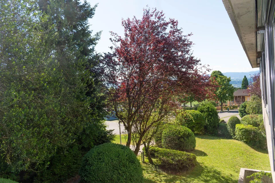 Appartamento di 4,5 locali con vista sulla montagna e sul lago a Herrliberg