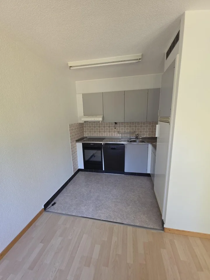 3- Zimmerwohnung mit grosszügiger Terrasse