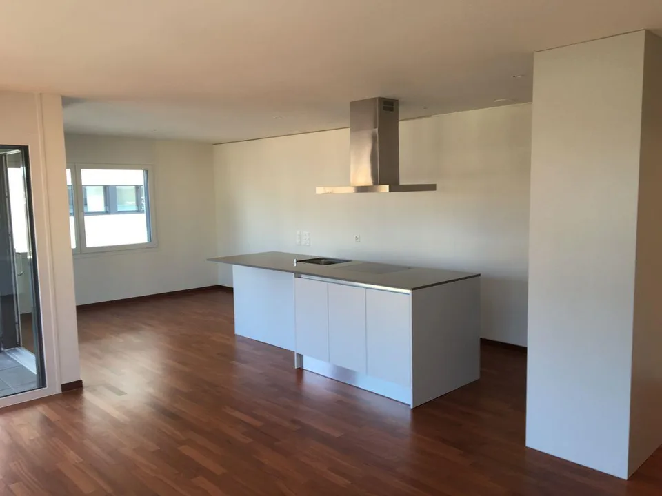 Locarno_ Helles Apartment 3.5loc