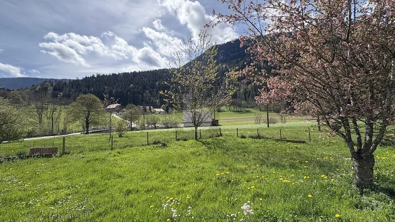 DANS UN ENDROIT IDYLLIQUE ET CALME