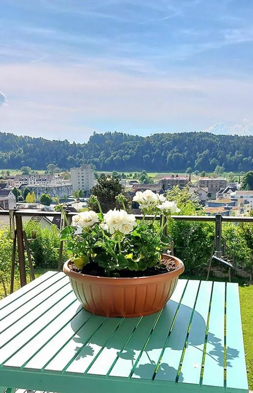 Stilvolle 7.5 Zimmer-Villa mit parkähnlicher Gartenanlage – Foto 25 von 30