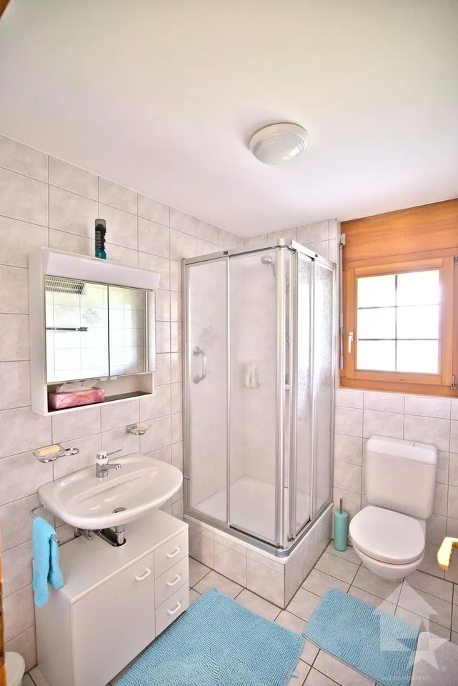 Chalet con 2 appartamenti su un grande lotto, posizione eccezionale! – foto 26 di 30