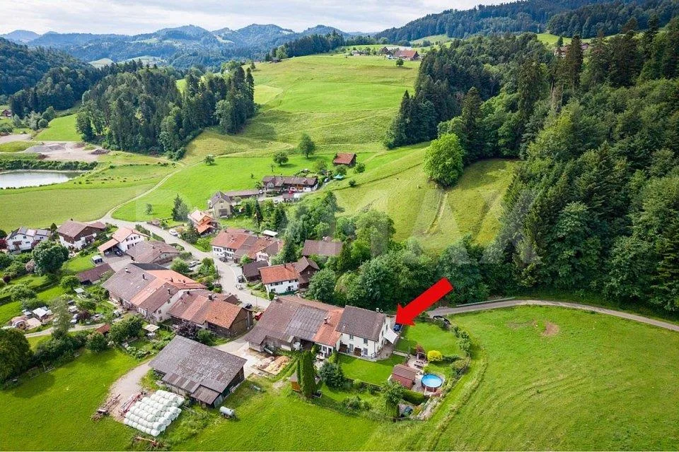 Paradies für Mensch, Hund und Katze