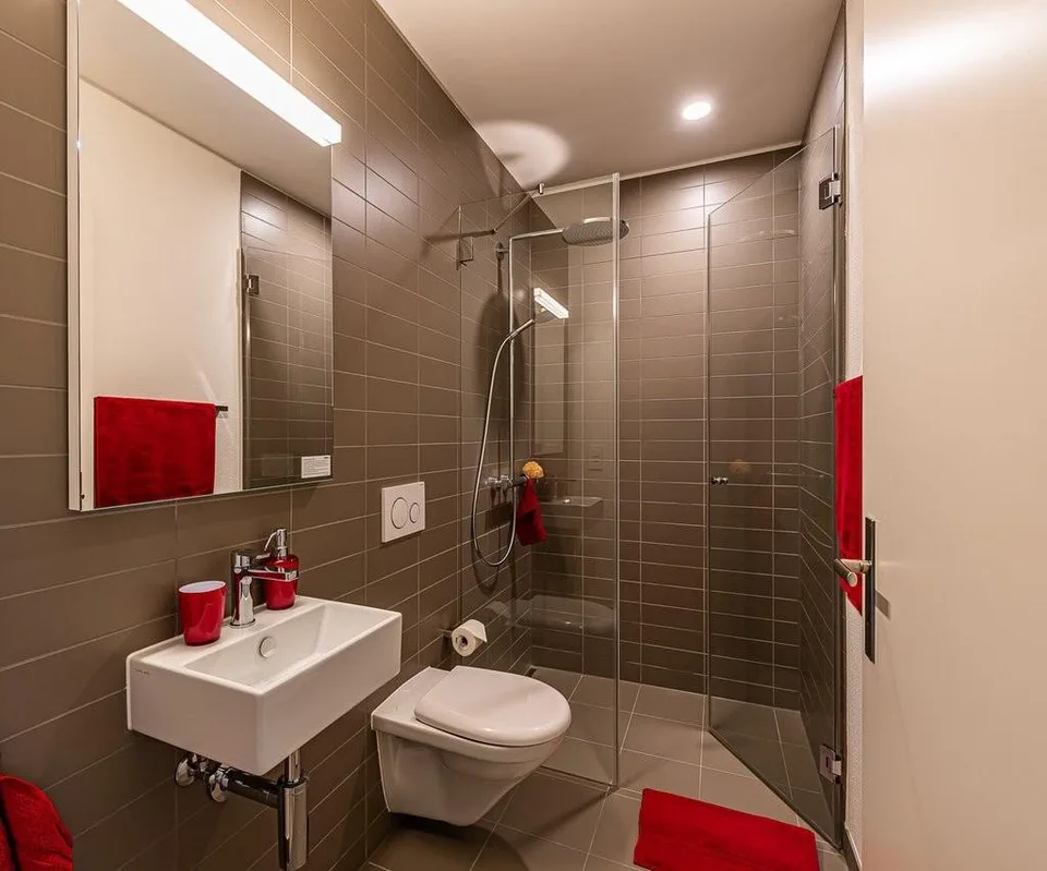 Exclusive Apartment in Basel - Prestige & Elegance