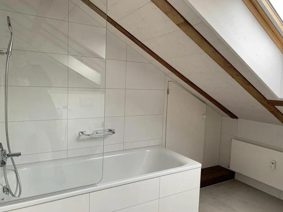 3.5-Zimmer-Dachwohnung am Rotsee