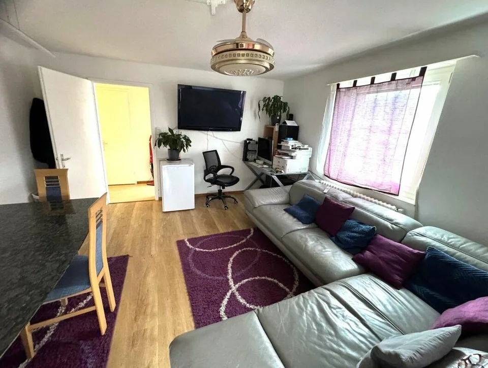 Helle 3.0 Zi-Wohnung zu vermieten