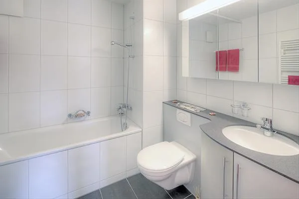 Appartement en mansarde avec jardin d'hiver !