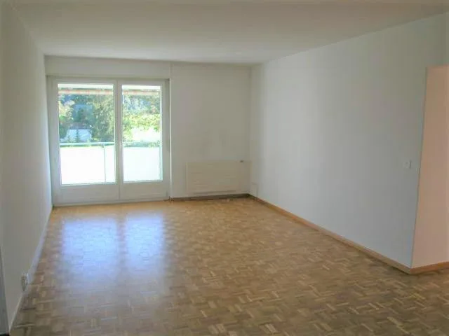 gemütliche 3.5-Zimmerwohnung in Kölliken