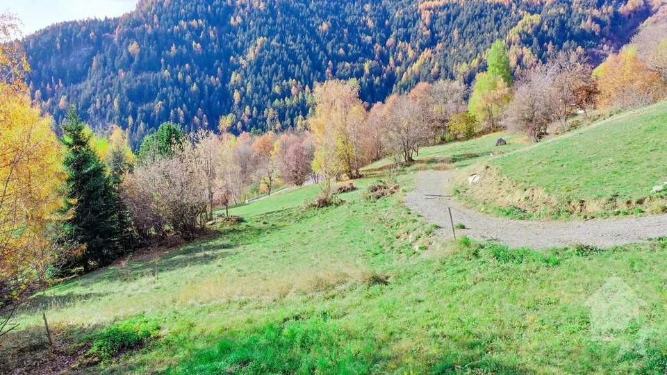 Chalet de 5.5 pièces sur plan, calme, ensoleillé