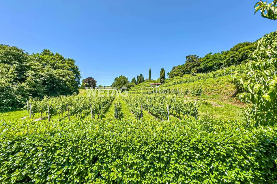 Lugano-Gentilino : appartement élégant au dernier étage avec vue sur le lac, rénové dans l'état brut et à vendre dans un environnement verdoyant – photo 13 sur 13