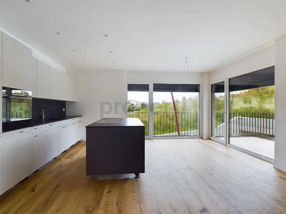 Charmant appartement neuf à Sirnach