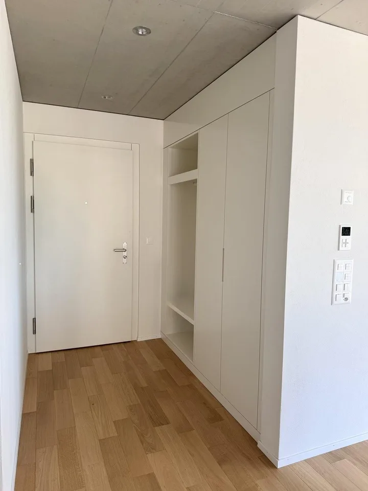 Modernes Attikawohnen im Neubau - 4.5 Zimmer mit riesiger Terrasse
