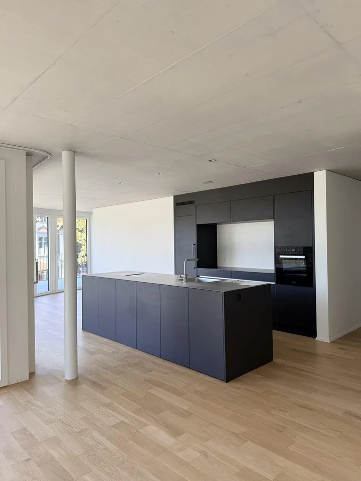 Modernes Attikawohnen im Neubau - 4.5 Zimmer mit riesiger Terrasse