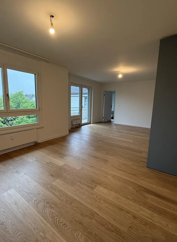 Renovated 2.5 room apartment