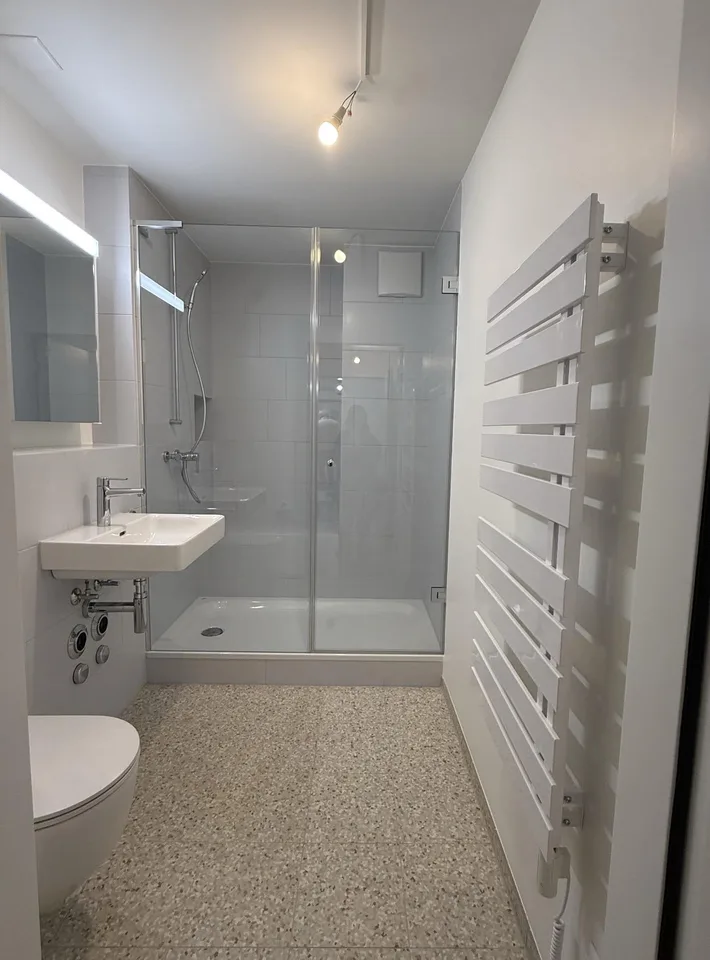 Renovated 2.5 room apartment