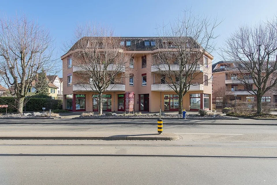 Neusanierte 2.5 Zimmerwohnung
