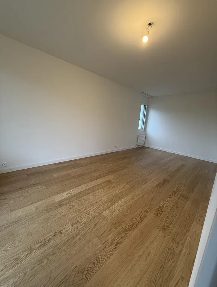 Renovated 2.5 room apartment