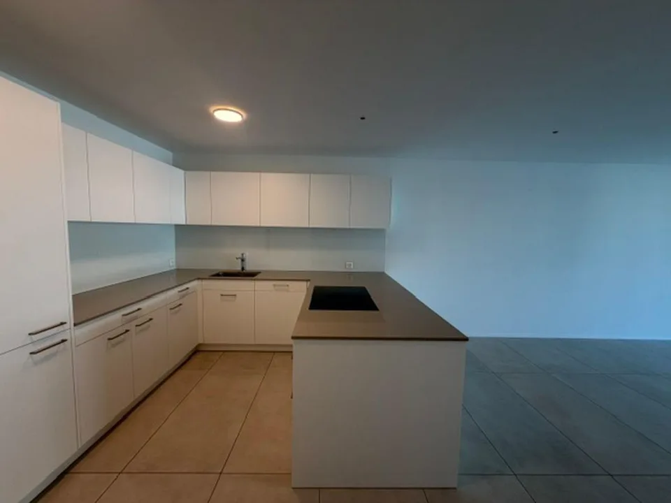 Moderne, neuwertige 4.5-Zimmer Wohnung zur Miete in Therwil