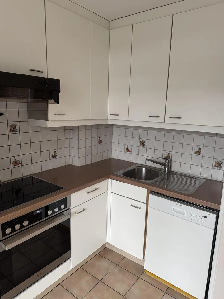 Appartamento pratico di 3 camere al piano rialzato