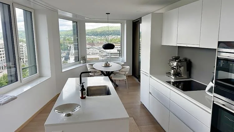 3½ Pièces Appartement à Dietikon (ZH), Meublé, Temporaire