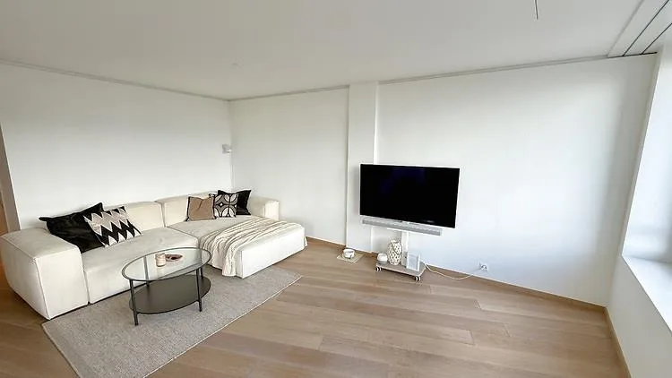 3½ Pièces Appartement à Dietikon (ZH), Meublé, Temporaire
