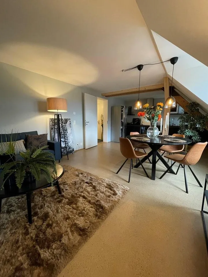4.5 Zimmer-Dachwohnung im Herzen von Zürich