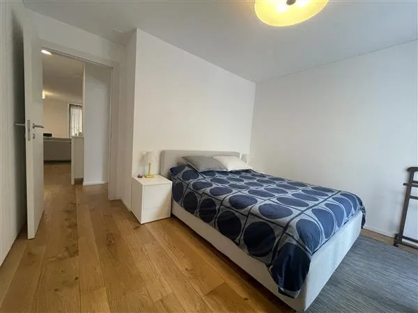 Lugano: Eingerichtete 2.5-Zimmer-Wohnung – Foto 12 von 13