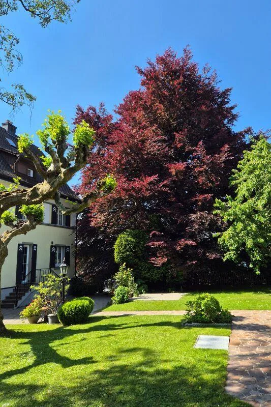 Villa padronale con terreno di 2.008 m2 simile a un parco – foto 11 di 15