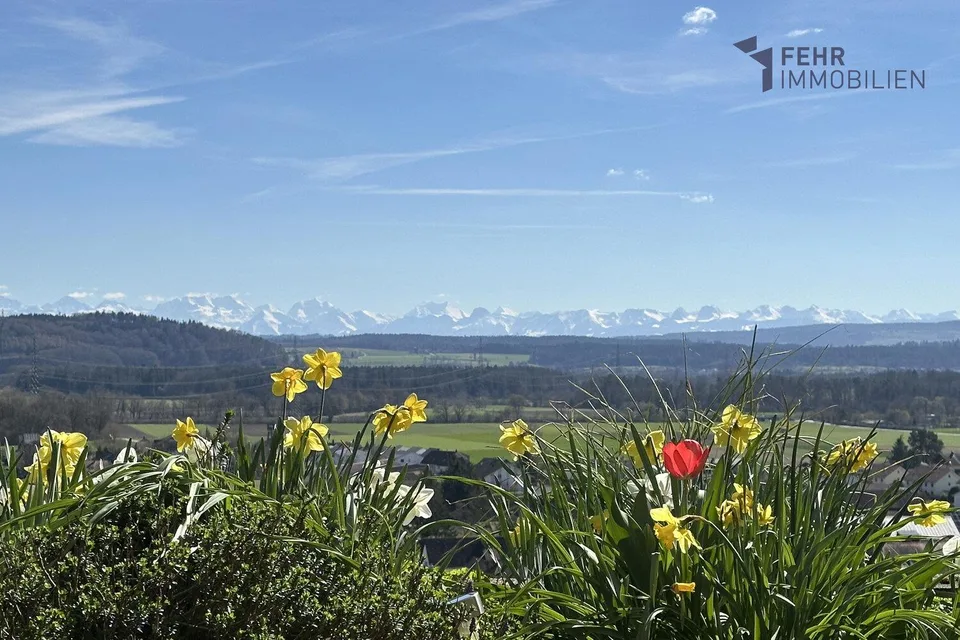 Fehr Immobili - Appartamento terrazza 4,5 locali con vista splendida