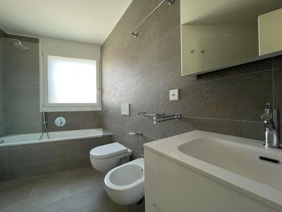 Melide, 3.5 rooms with terrace