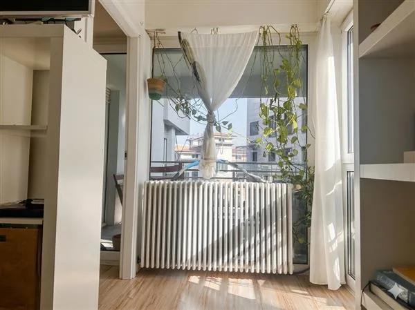 Paradies: 1,5-Zimmer-Wohnung – Foto 11 von 12