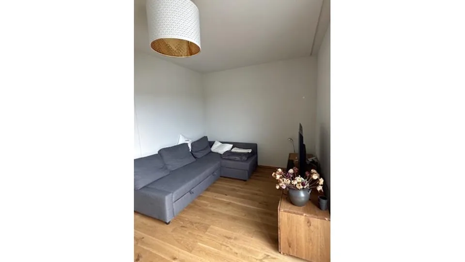 APPARTEMENT 3½ PIÈCES À BIEL/BIENNE (BE), MEUBLÉ, DURÉE DÉTERMINÉE