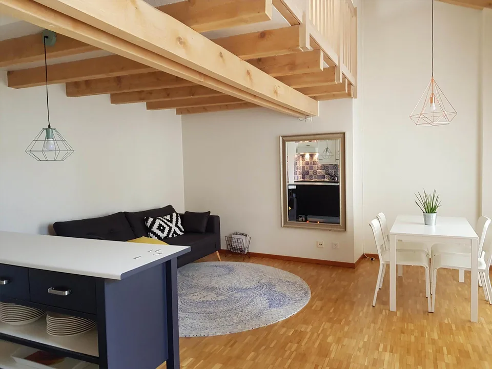 Superbe appartement avec mezzanine