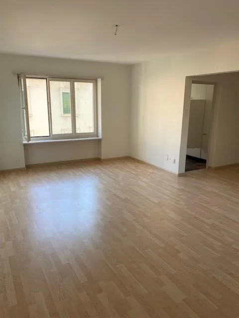 Habitation centrale près du Rhin !