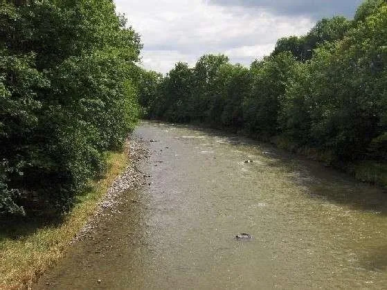 Vivere nel quartiere verde di Adliswil, limitato fino al 30.09.2027