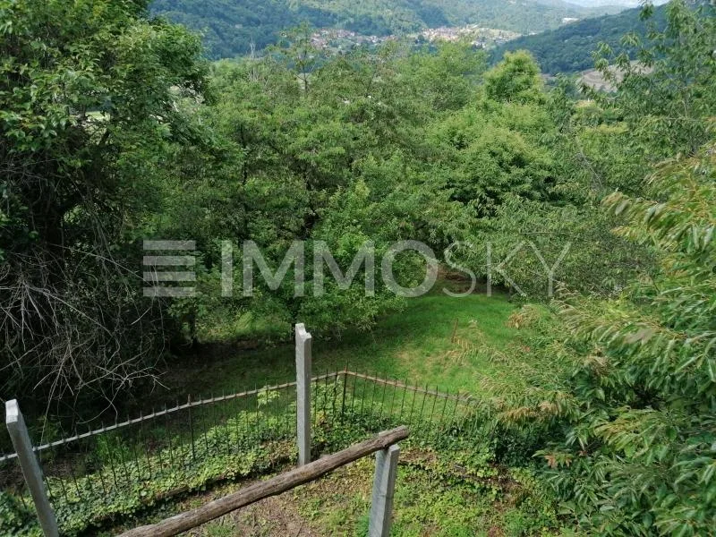 Renovate this beautiful property