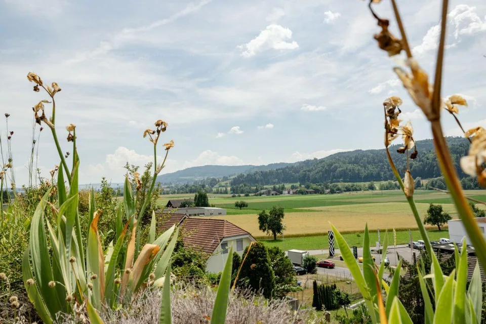 Casa a terrazza 5,5 locali con vista libera sul verde