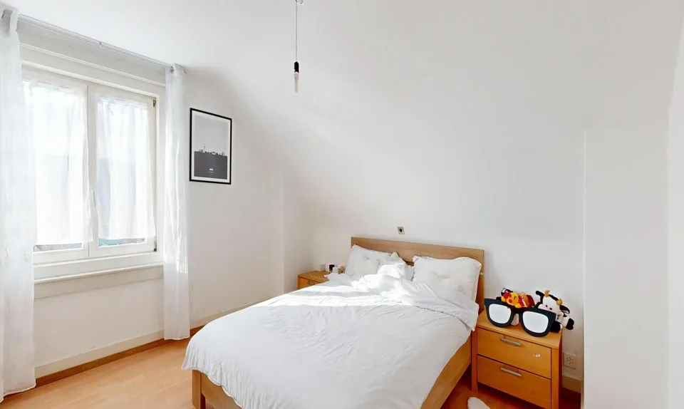 Grande demeure familiale de 2 appartements: 6,5 pièces + 3 pièces – photo 9 sur 20