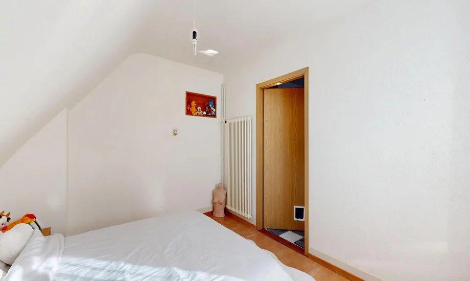 Grande demeure familiale de 2 appartements: 6,5 pièces + 3 pièces – photo 7 sur 20