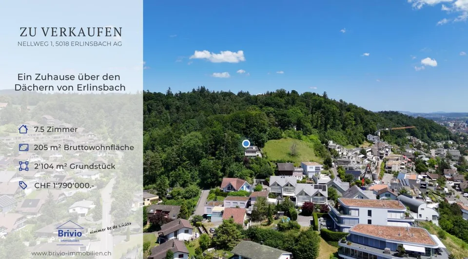 A Home Above the Roofs of Erlinsbach