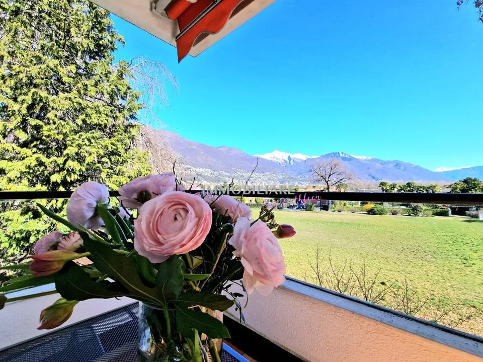 Ferienwohnung Attica mit Weitblick, ganzjährig sonnig, nah zur Maggia – photo 16 sur 21
