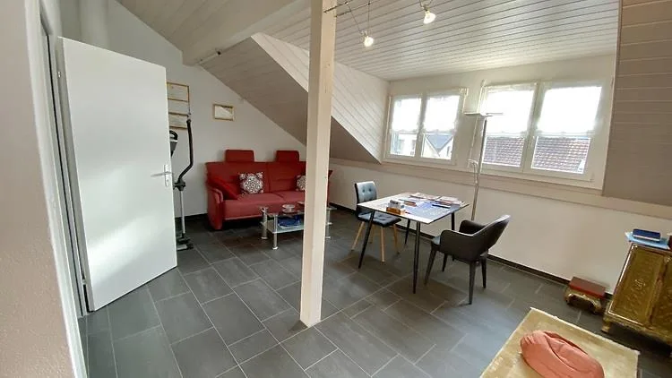 5½ ZIMMER-HAUS IN WETZIKON (ZH), MÖBLIERT, TEMPORÄR