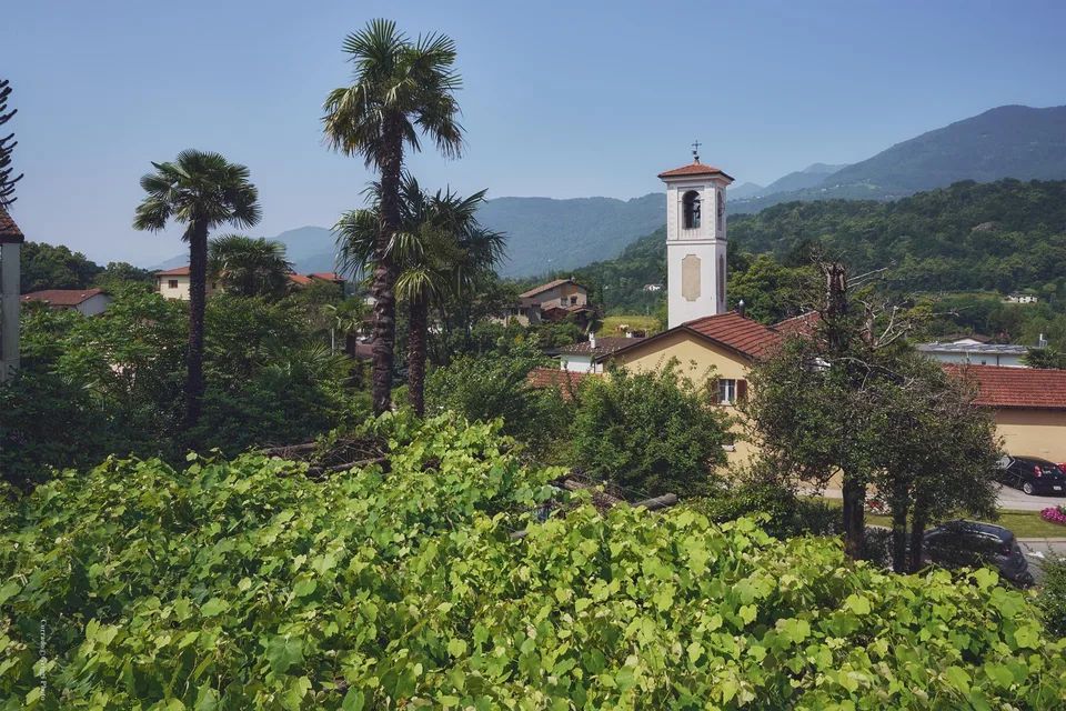 Affittasi prestigioso appartamento in residenza storica a Origlio – foto 7 di 10