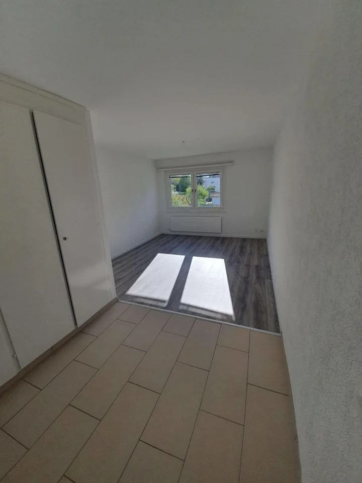 Delizioso appartamento di 2 locali con balcone a Valbirse