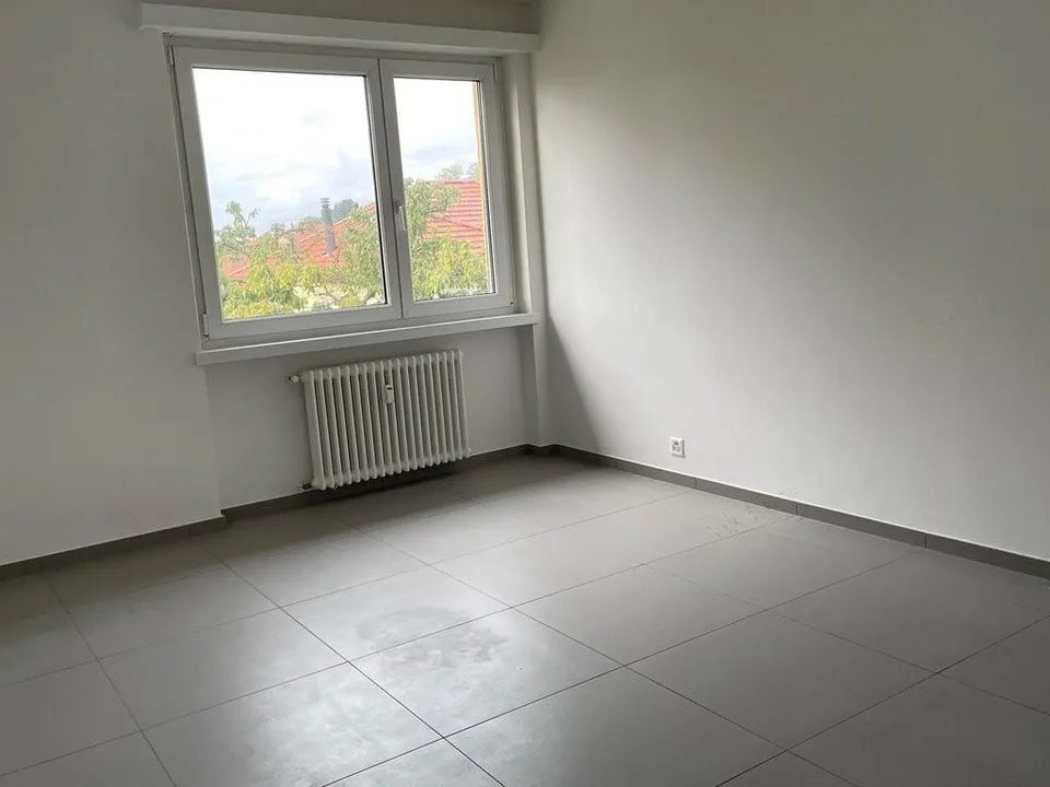 Appartamento di 3 locali in affitto a Rancate